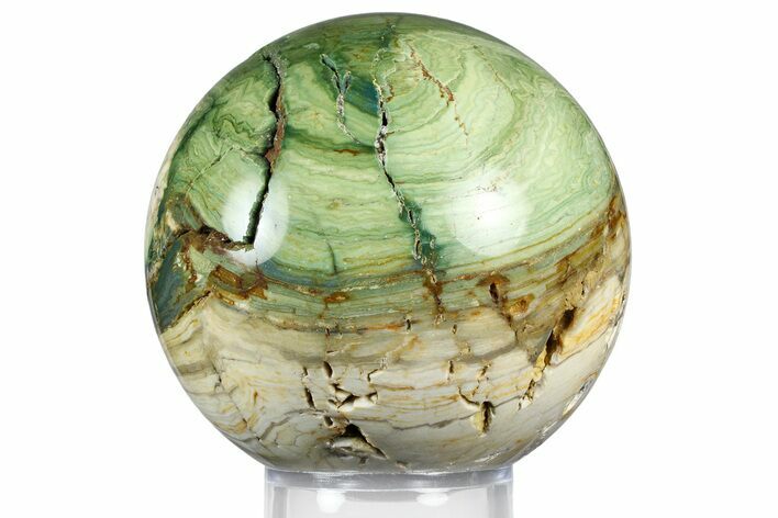Gary Green Jasper (Larsonite) Bog Wood Sphere - Oregon #369046